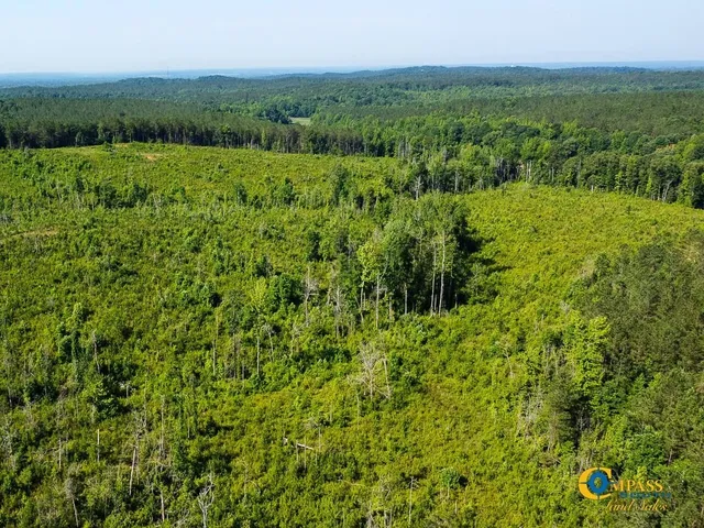 $1,369,750 | 0 Parker Street, Bolivar, TN 38008