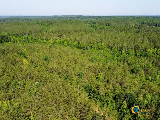 $1,369,750 | 0 Parker Street, Bolivar, TN 38008