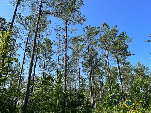 $1,369,750 | 0 Parker Street, Bolivar, TN 38008