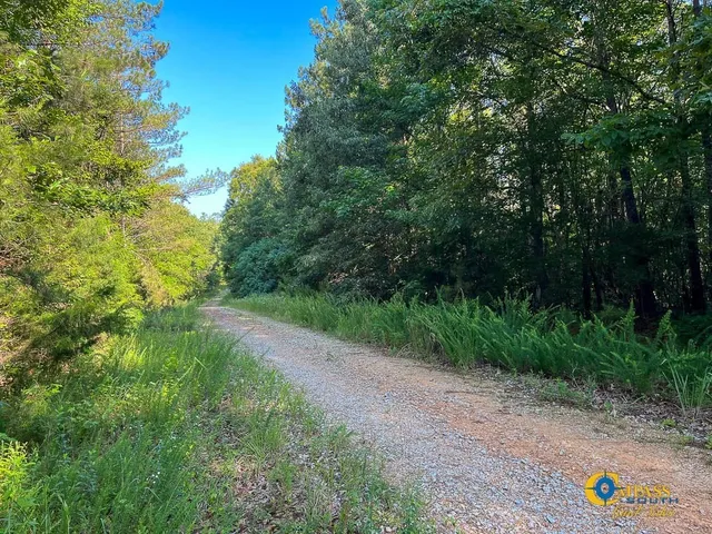 $1,369,750 | 0 Parker Street, Bolivar, TN 38008