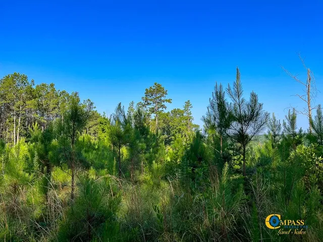 $1,369,750 | 0 Parker Street, Bolivar, TN 38008