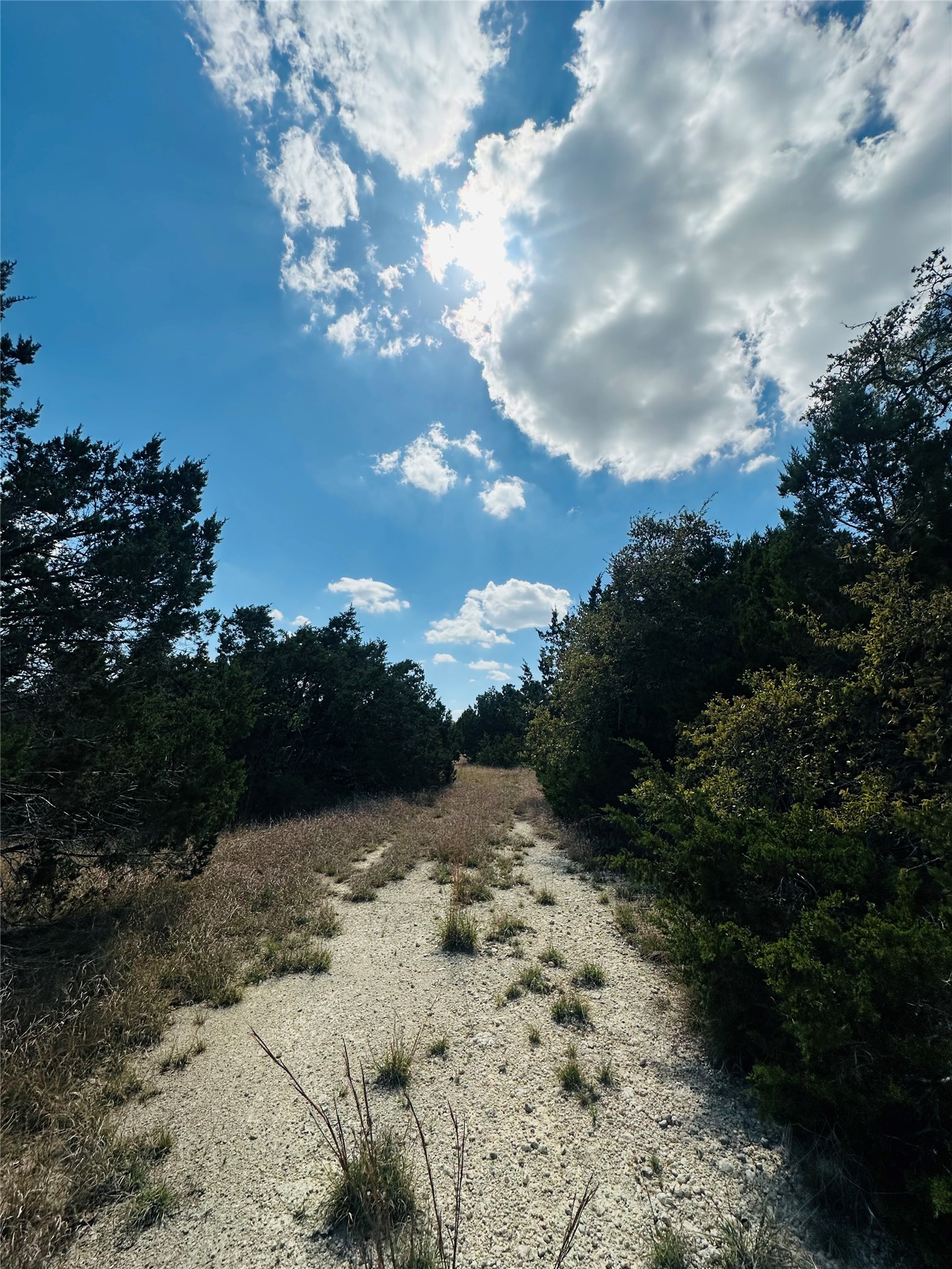 336 County Road 334 Roads Burnet, TX 78611 - Photo 11 of 11 A natural pathway winds through a secluded, wooded landscape under a dynamic sky.
