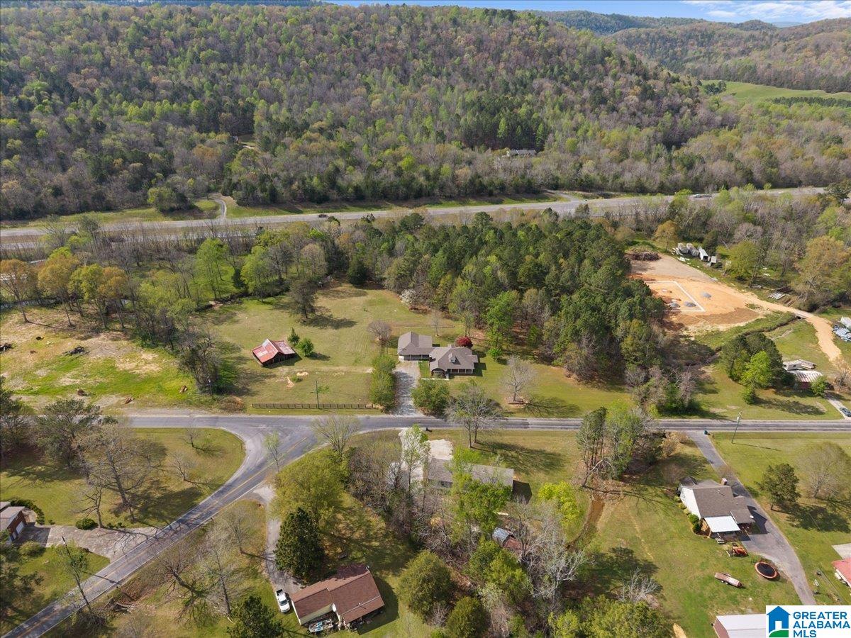 19865 Remlap Drive Remlap, AL 35133 - Photo 51 of 54