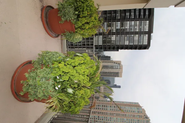 $2,700 | 2 East Erie Street, Unit 1901, Chicago, IL 60611