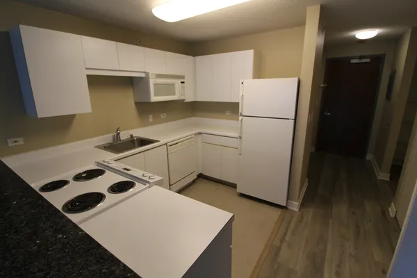 $2,700 | 2 East Erie Street, Unit 1901, Chicago, IL 60611