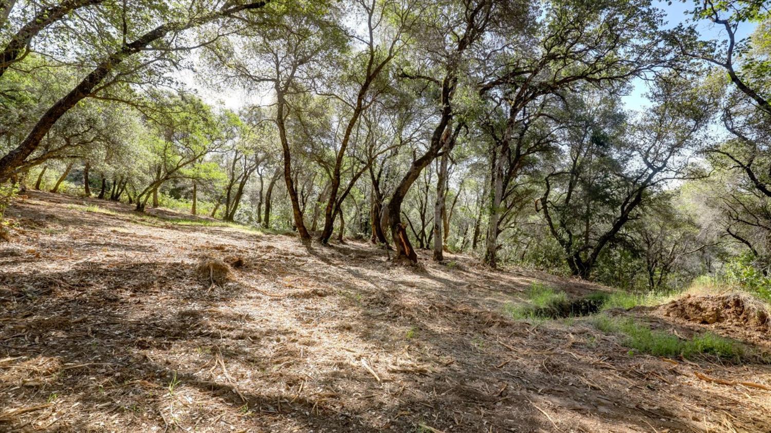 0 Southridge Road Penn Valley, CA 95946 - Photo 47 of 72