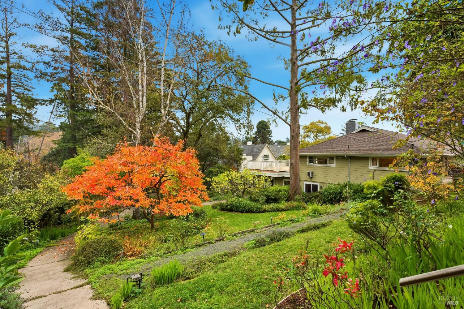 Welcome to 40 Newhall Dr., with your own beautiful park like setting in the heart of "The Dominican" neighborhood of central San Rafael, set on an unusually large lot!