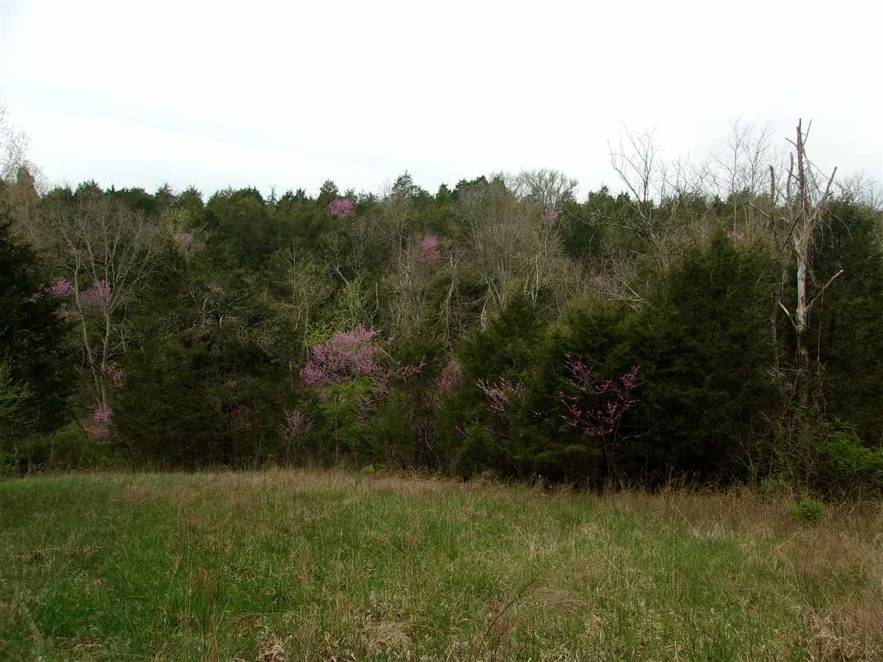 2473 Salem Ridge Road Brooksville, KY 41004 - Photo 11 of 48 Gallery Image 11