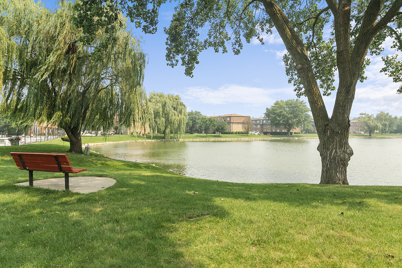 9390 Bay Colony Drive, Unit 3N Des Plaines, IL 60016 - Photo 14 of 15 a lake with a yard and palm trees