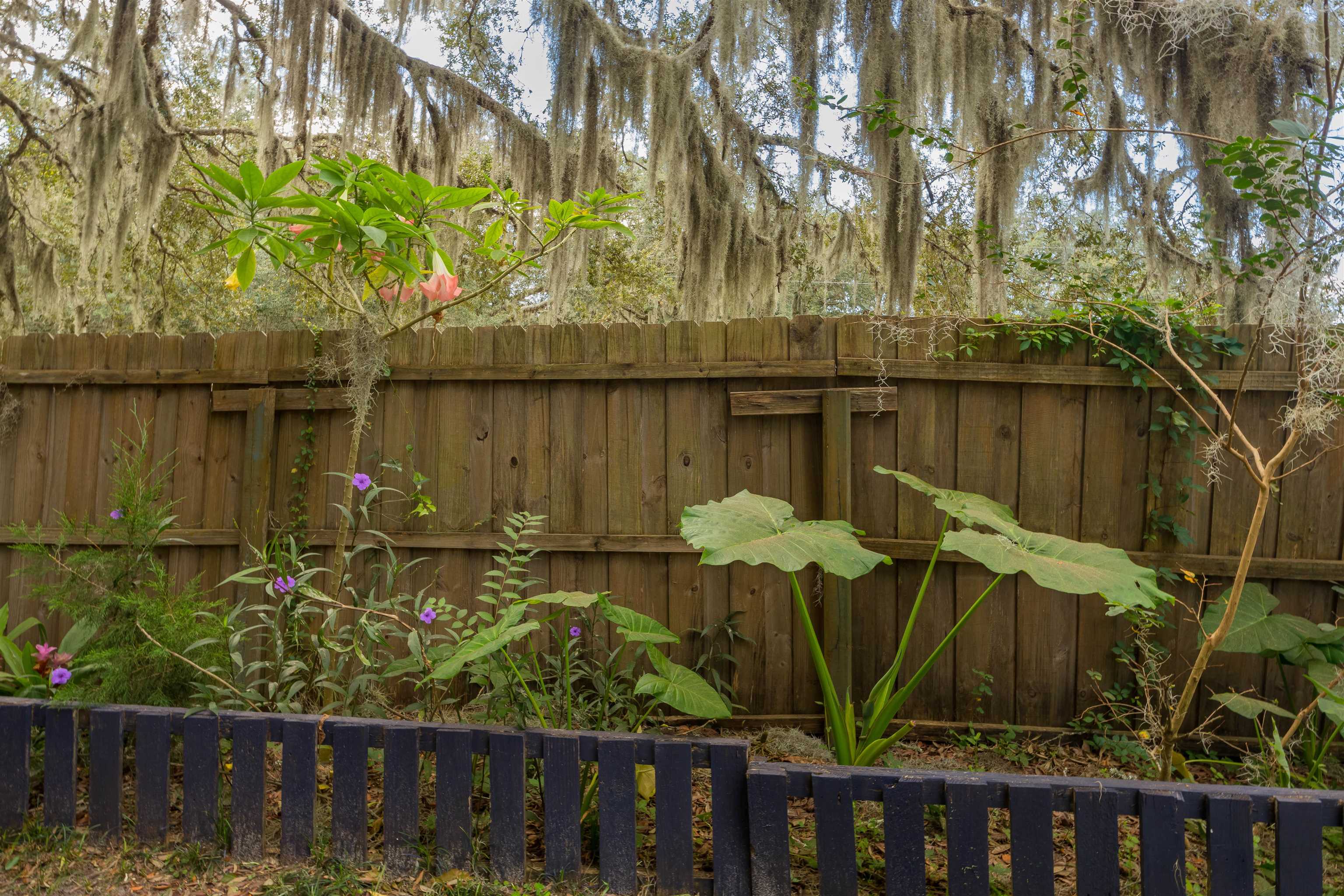 215 Katnack Road St. Augustine, FL 32095 - Photo 40 of 68 Gallery Image 40