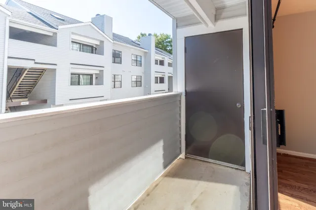 a view of a yard with plants and trees
