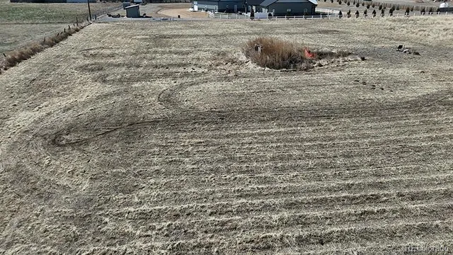 a view of a wooden floor and a park