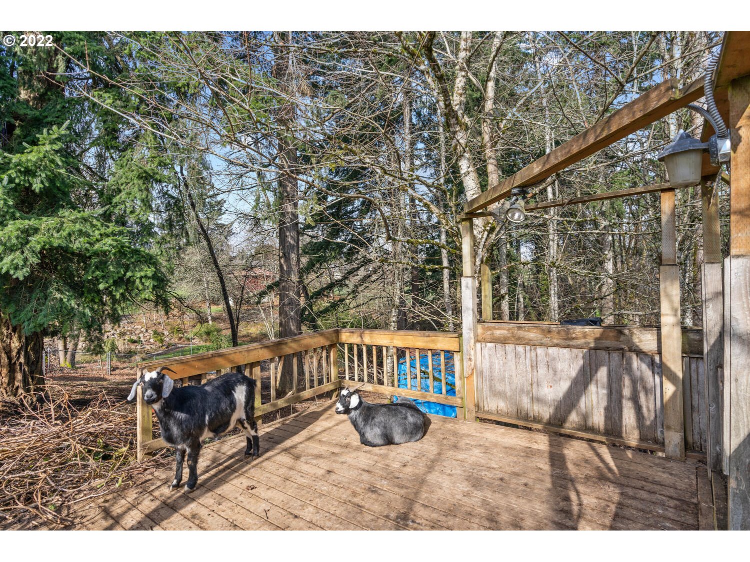 14845 Southeast Monner Road Happy Valley, OR 97086 - Photo 27 of 32 Gallery Image 27