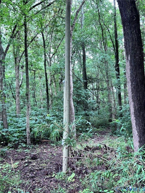 1832 Munden Point Road Virginia Beach, VA 23457 - Photo 13 of 16 a view of a lush green forest