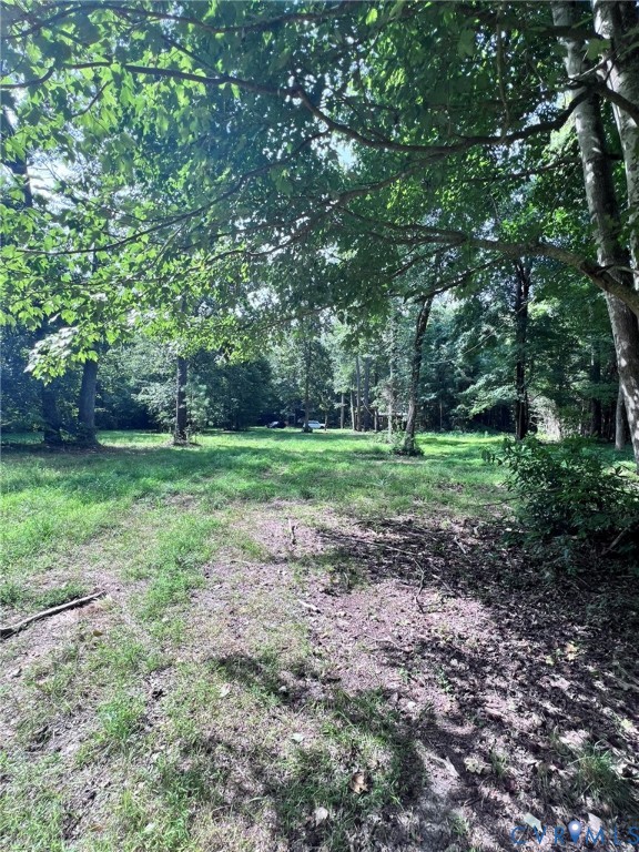 1832 Munden Point Road Virginia Beach, VA 23457 - Photo 4 of 16 a view of a yard with a tree
