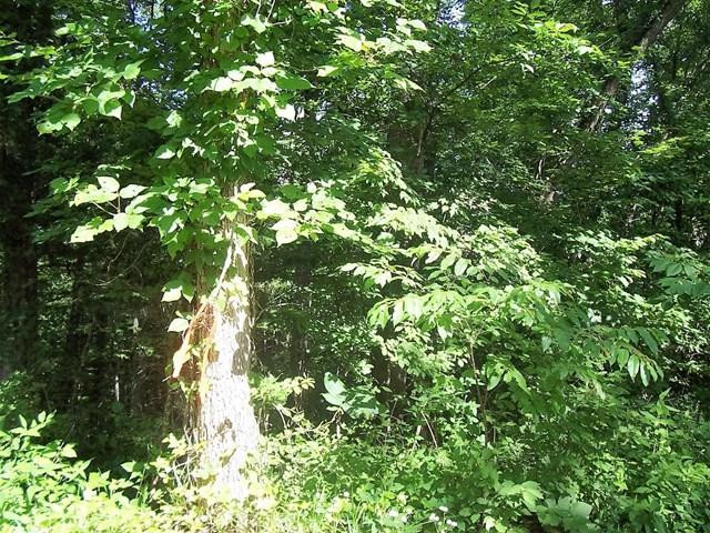 0 Morris Peters Road Vincent, KY 41386 - Photo 7 of 14 Photo 7
