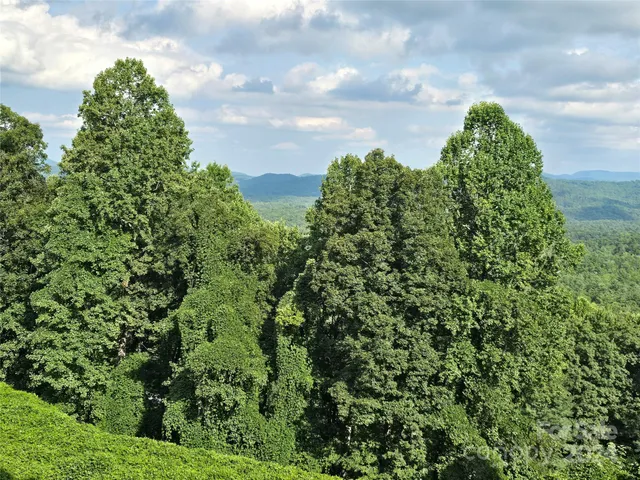 a view of a lush green forest with houses in the back