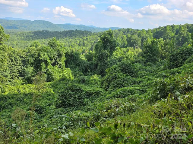 $225,000 | 9999 Falkirk Way, Zirconia, NC 28790