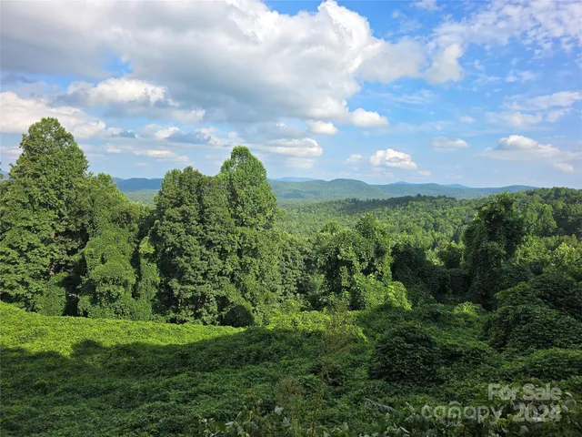 a view of a green field