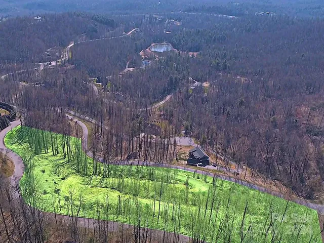 a view of a backyard with plants