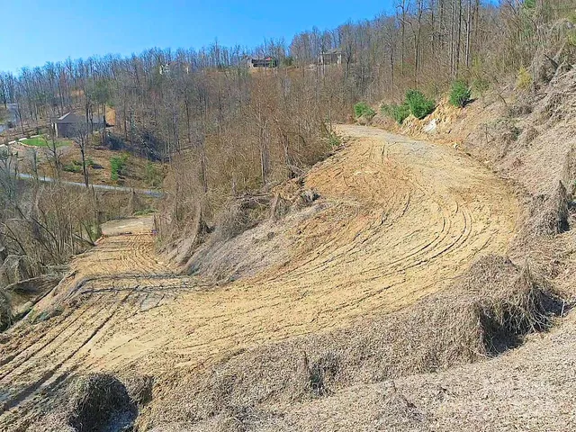 a view of a backyard of the house