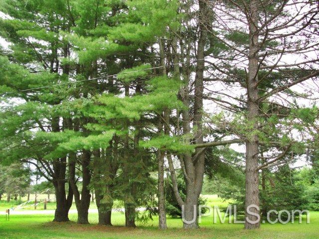 W9183 Co Road Pembine, WI 54156 - Photo 23 of 23