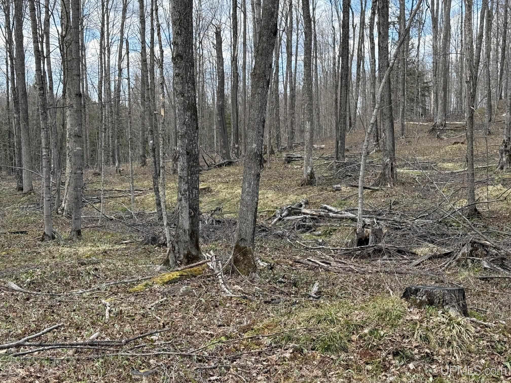 Tbdne Dog Patch Road Lanse, MI 49946 - Photo 20 of 23