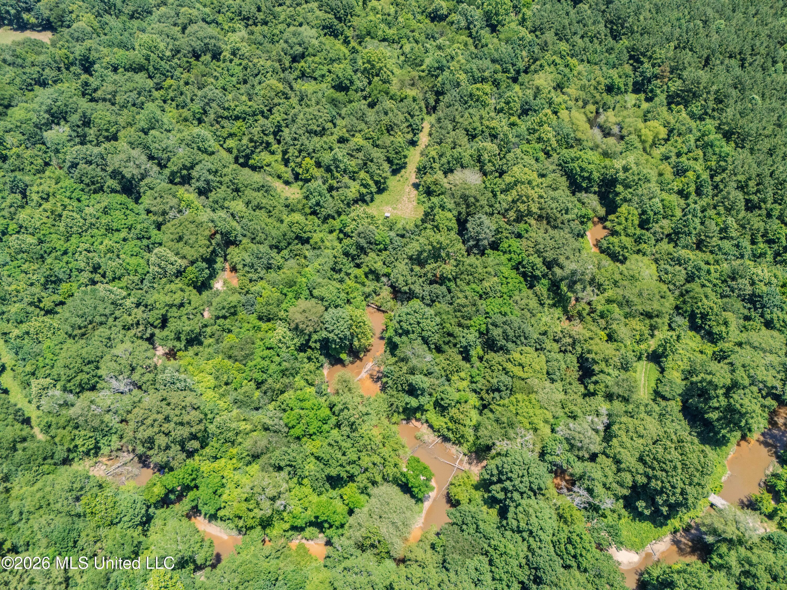23 Co Road Bay Springs, MS 39422 - Photo 62 of 64 DJI_20260611124721_0039_D