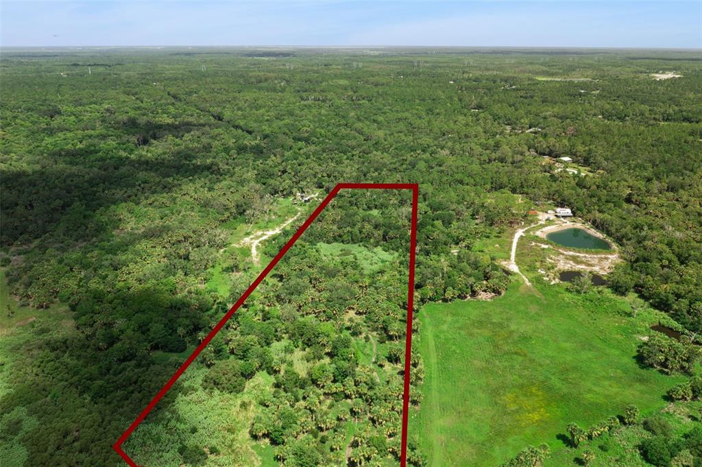 Canvasback Trail Geneva, FL 32732 - Photo 1 of 16