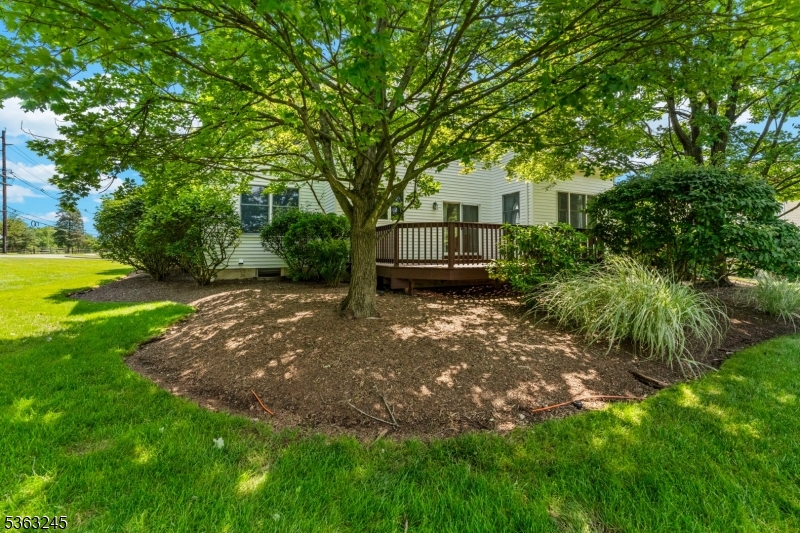 2 Seminole Road Skillman, NJ 08558 - Photo 46 of 50 a backyard of a house with table and chairs plants and large trees