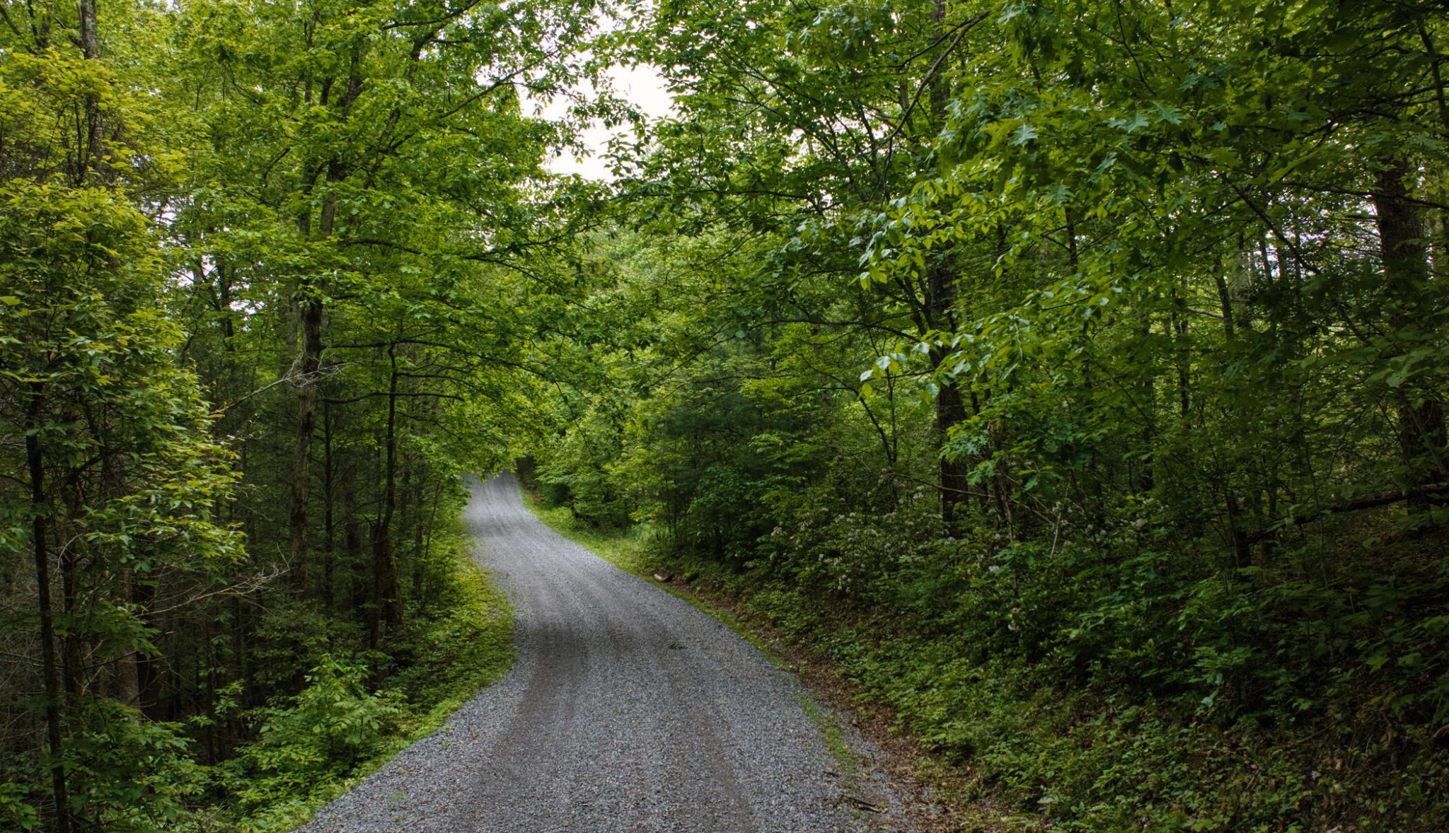 4238 Ridge Road Hartford, TN 37753 - Photo 40 of 41 Gallery Image 40