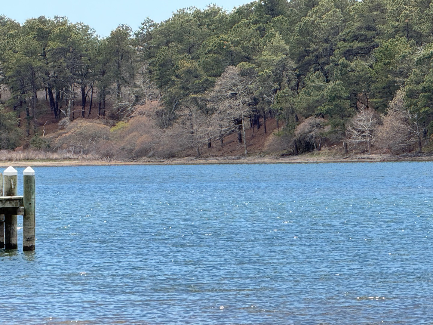 82 Oyster Pond Road Edgartown, MA 02539 - Photo 4 of 53 a view of a yard