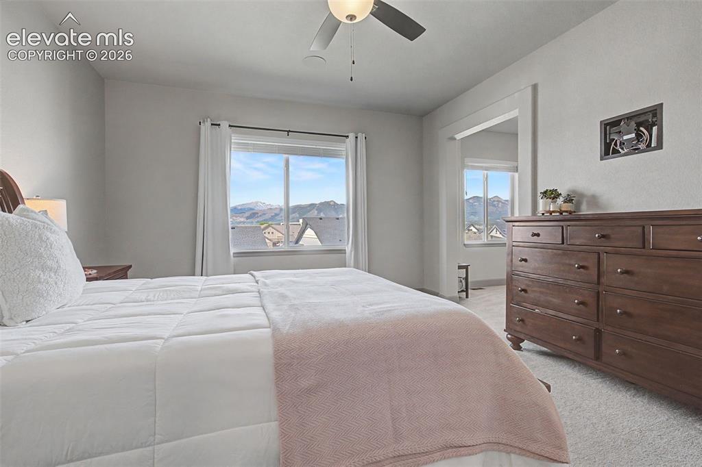 11634 Justify Drive Colorado Springs, CO 80921 - Photo 21 of 46