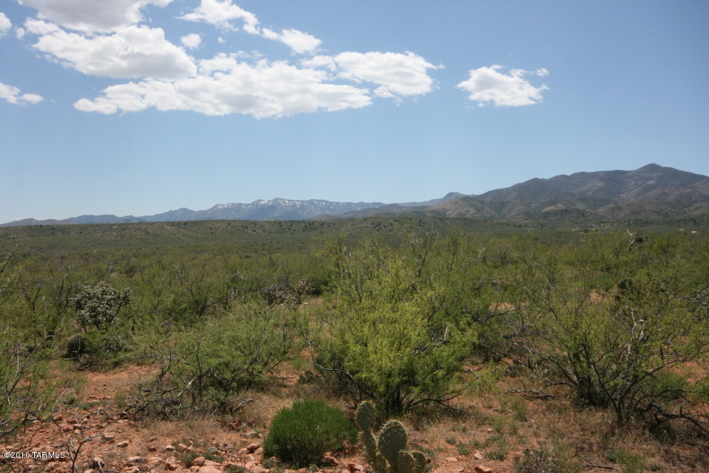 81483 East Goldbug Road Oracle, AZ 85623 - Photo 11 of 12