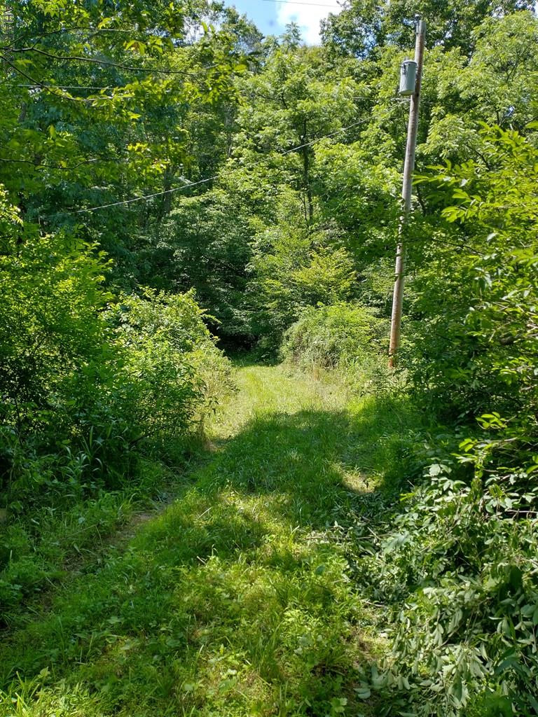 Off Smith Road Clearville, PA 15535 - Photo 16 of 47 a view of a lush green forest