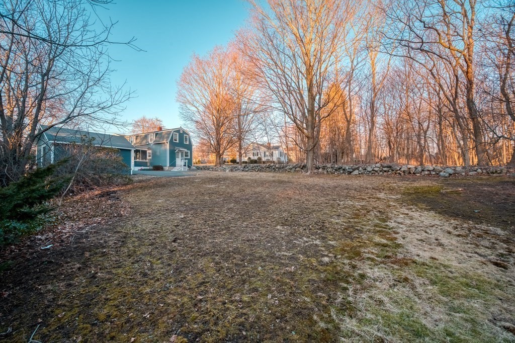 87 Conant Street Danvers, MA 01923 - Photo 28 of 31 a view of a yard with a trees