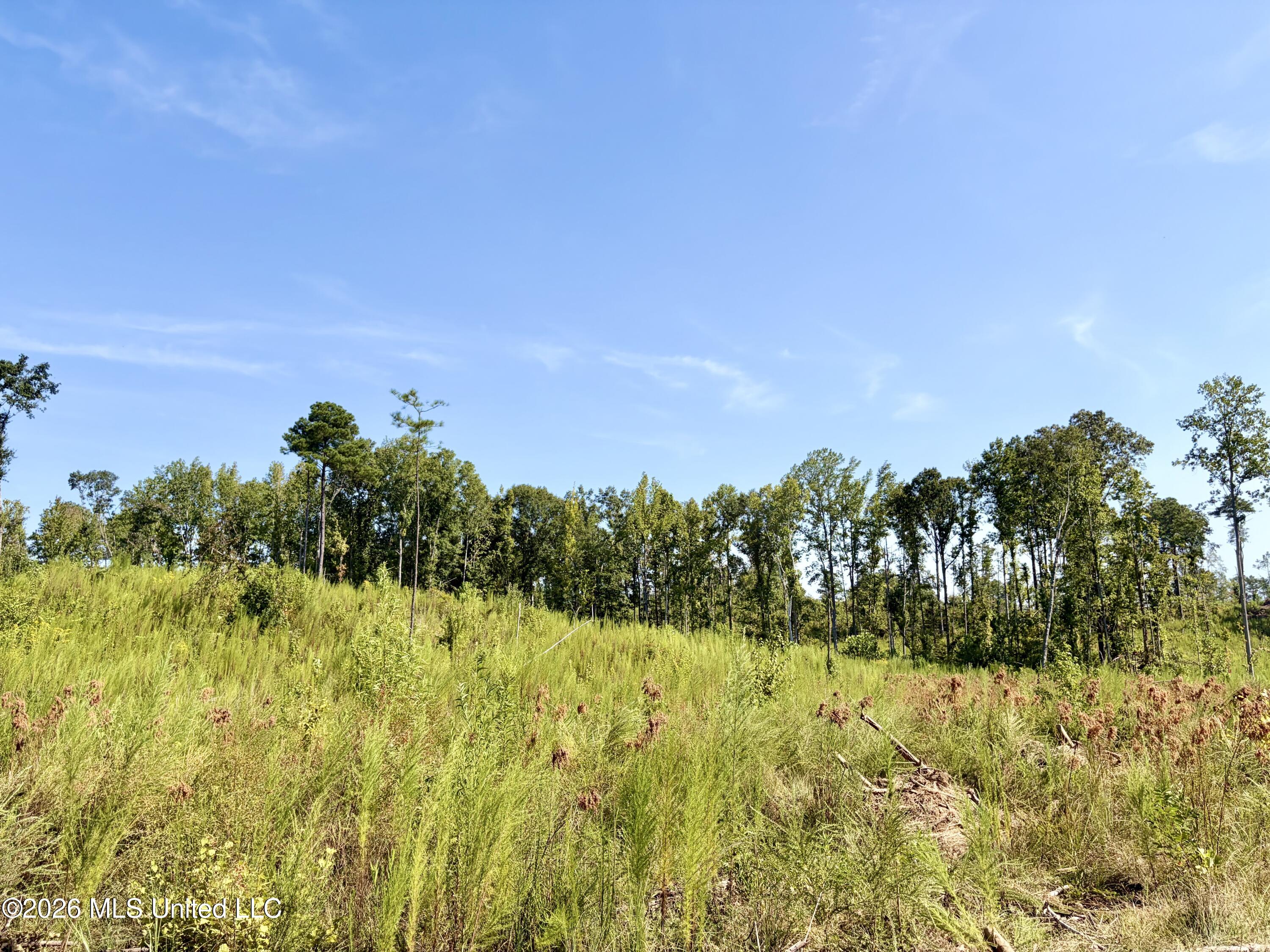 Terry Road Kosciusko, MS 39090 - Photo 10 of 17 IMG_1622