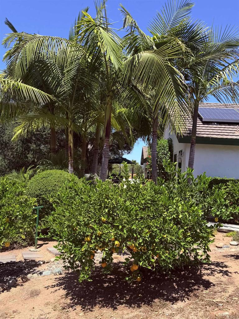 524 Rosvall Drive Fallbrook, CA 92028 - Photo 20 of 77