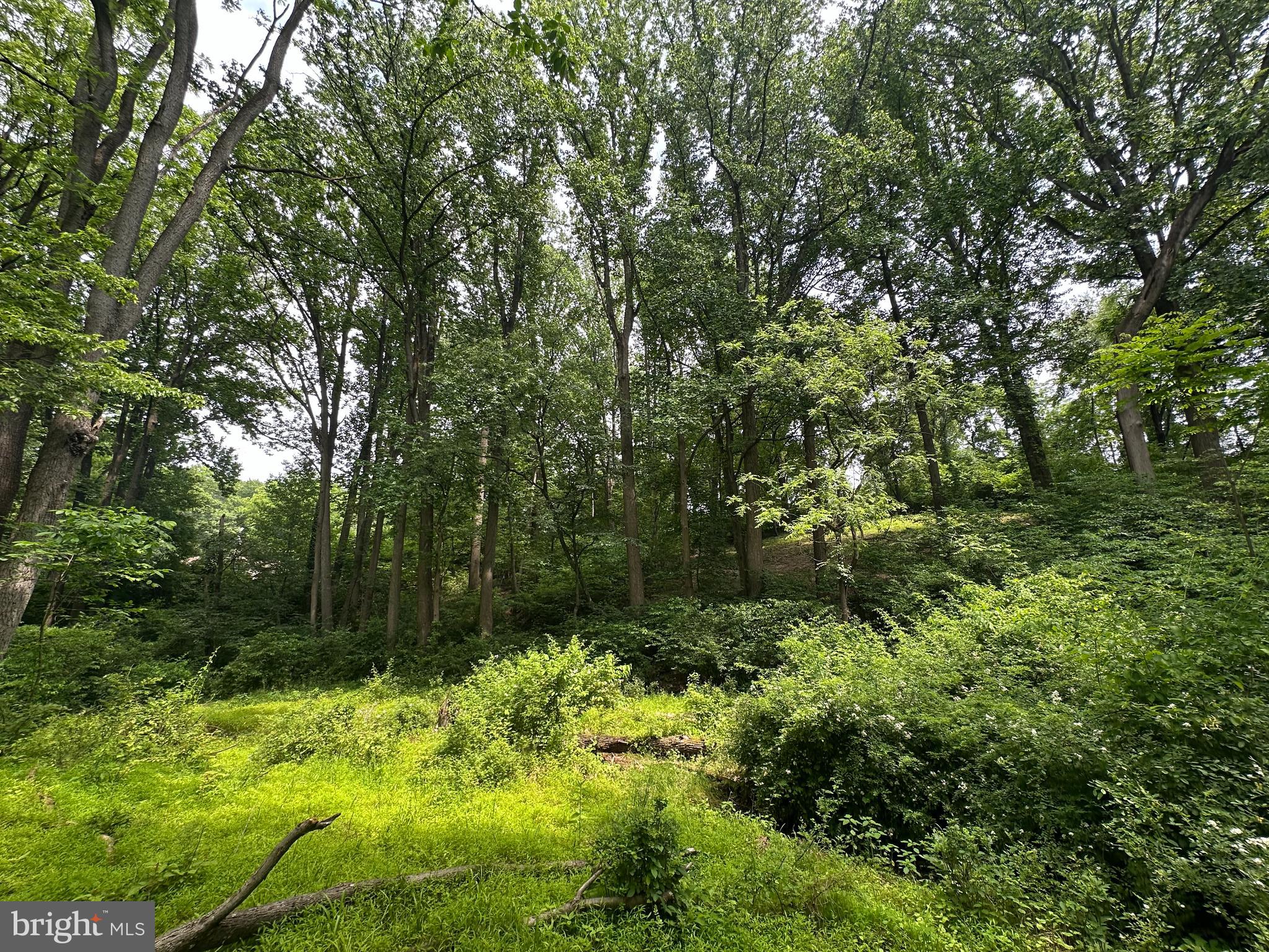 1418 Gallagherville Road Downingtown, PA 19335 - Photo 18 of 21 Lower Spring Meadow looking up toward homesite