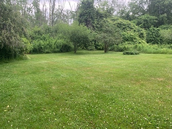 64 Cartwright Road Needham, MA 02492 - Photo 35 of 40 a view of a yard with a trees