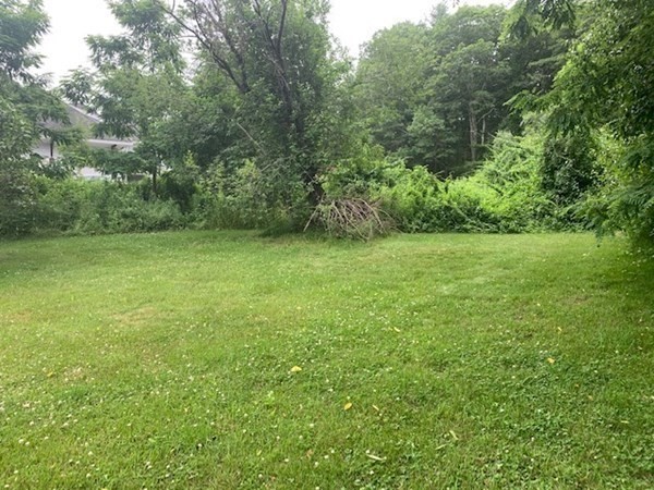 64 Cartwright Road Needham, MA 02492 - Photo 36 of 40 a view of field with trees in background