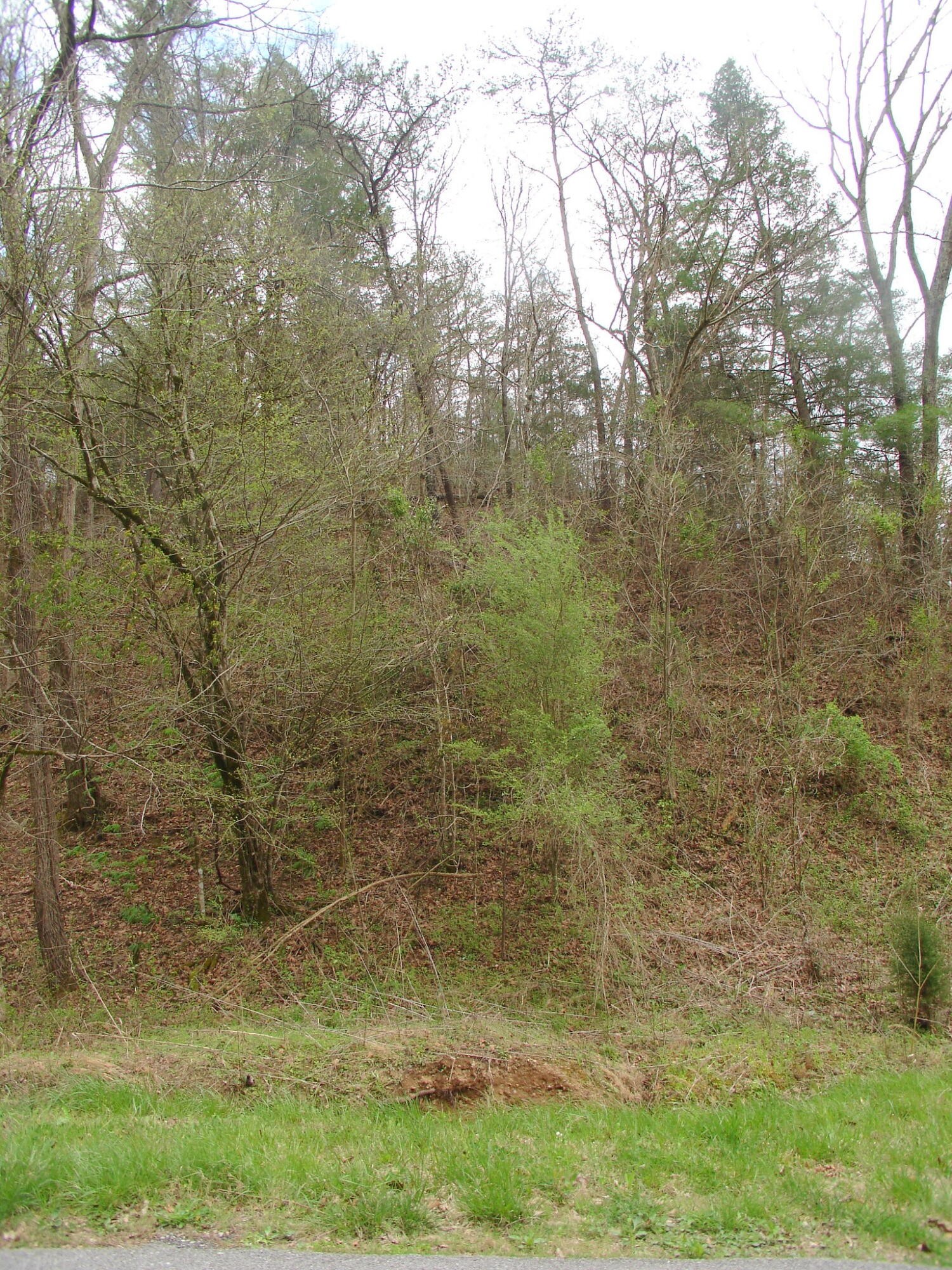 1 Jones Cove Road Sevierville, TN 37876 - Photo 12 of 12