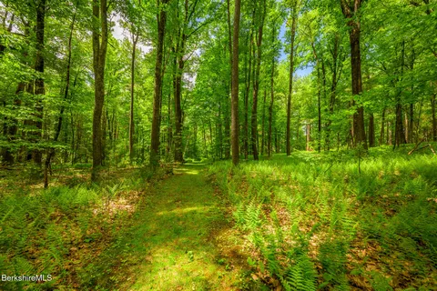 $4,500,000 | 729 Hewins Street, Sheffield, MA 01257