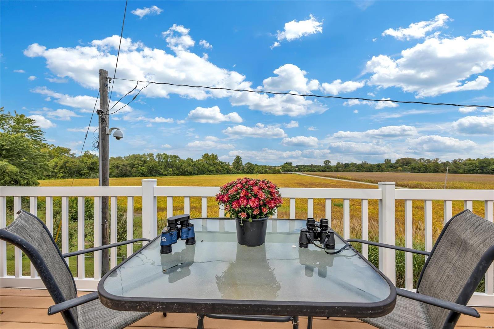 8037 Wagner Road Millstadt, IL 62260 - Photo 40 of 54 Gallery Image 40