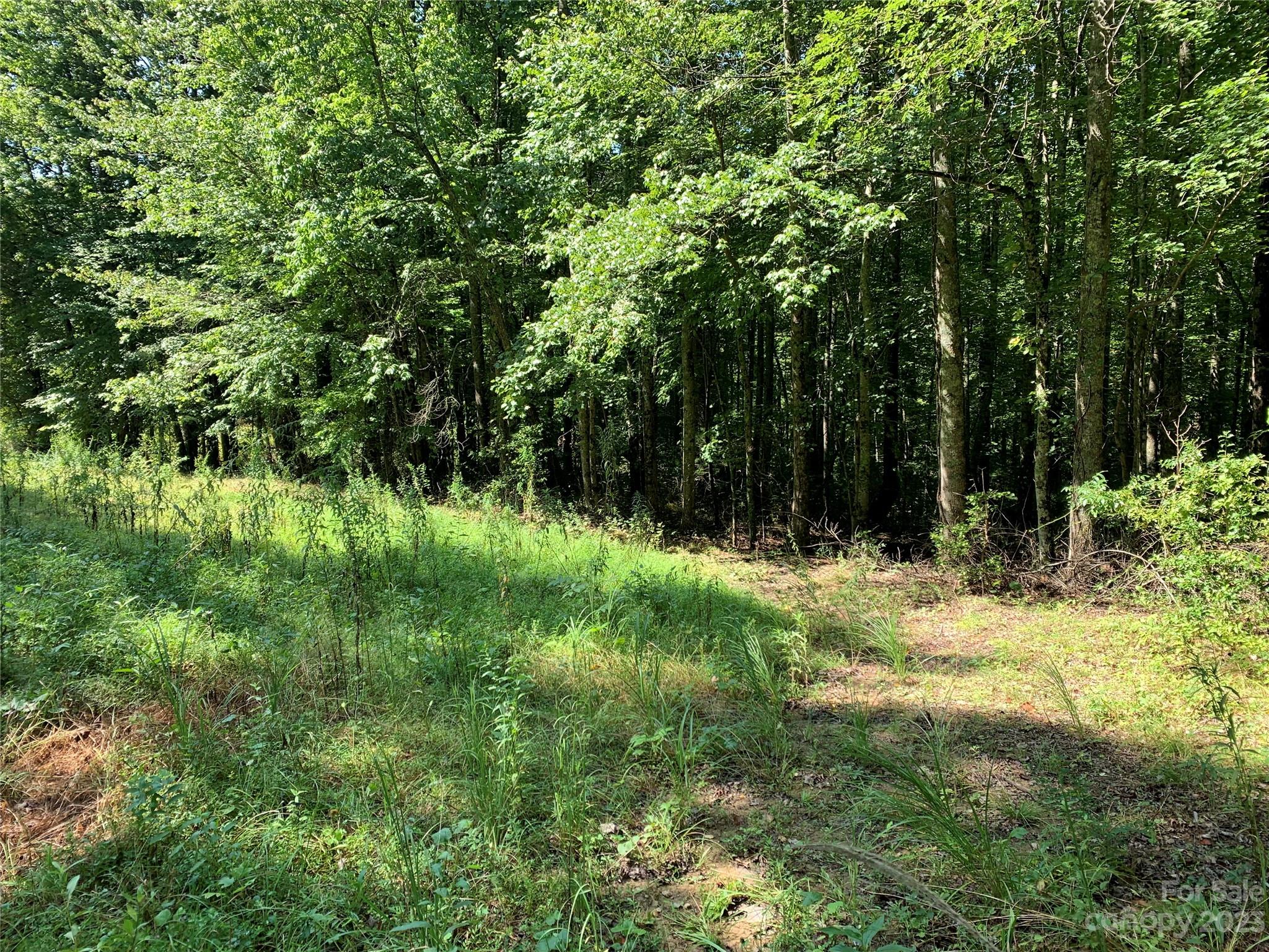 Tbd Tbd Brightwater Road, Unit 7 Hendersonville, NC 28739 - Photo 2 of 7 a big yard with lots of green space and deers