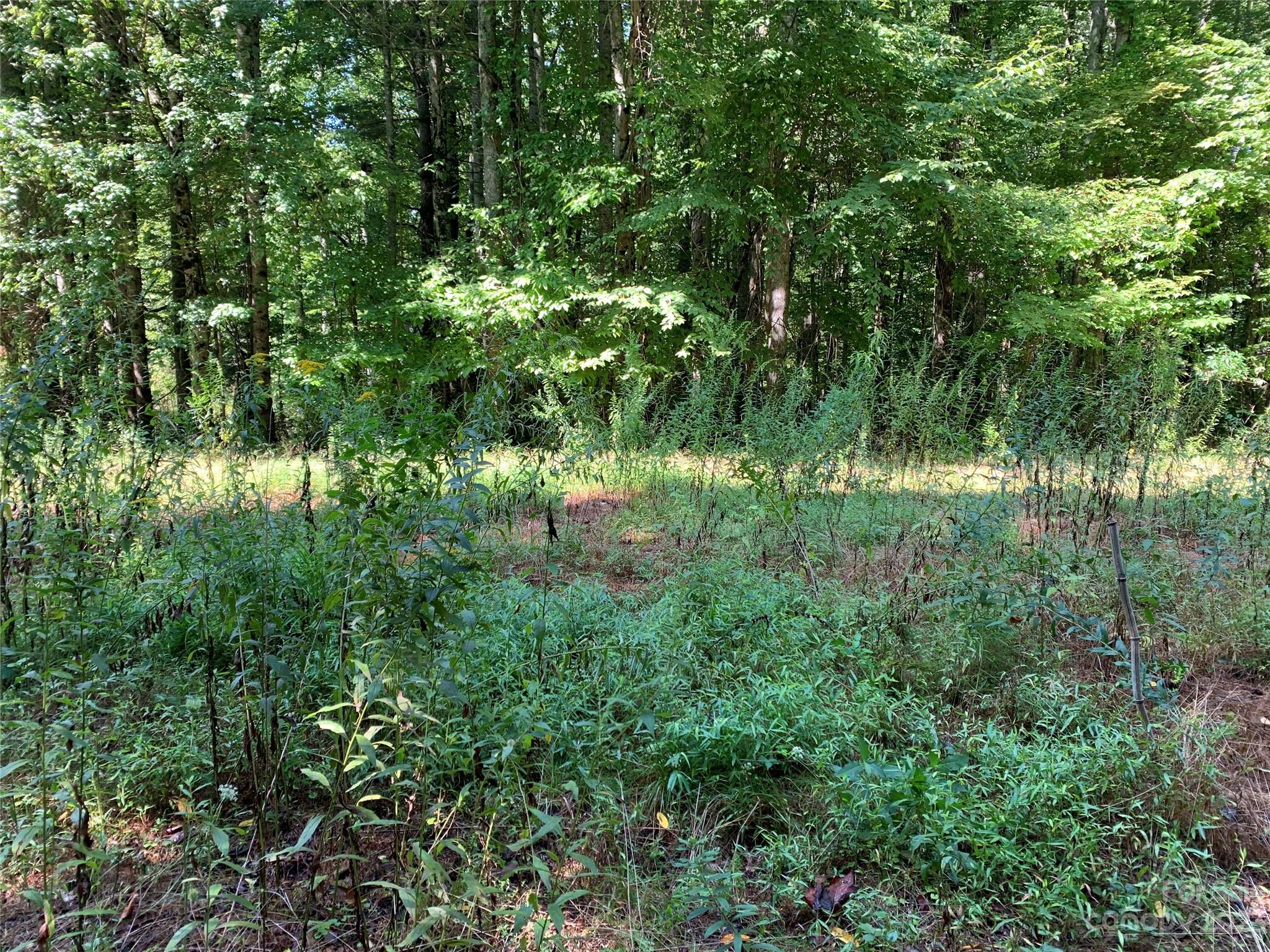 Tbd Tbd Brightwater Road, Unit 7 Hendersonville, NC 28739 - Photo 3 of 7 a view of a lush green space