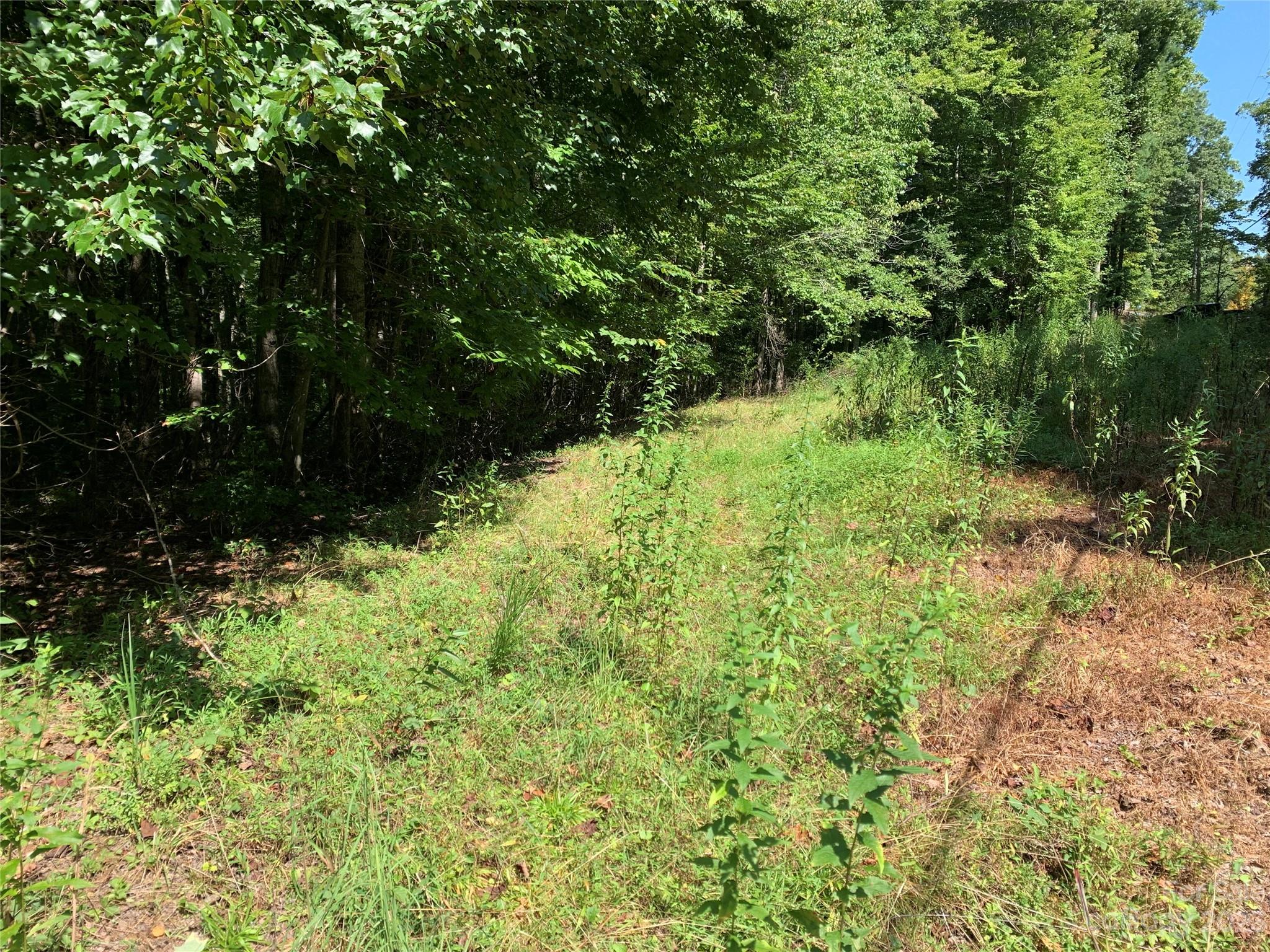 Tbd Tbd Brightwater Road, Unit 7 Hendersonville, NC 28739 - Photo 4 of 7 a view of a garden