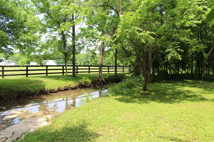 5534 Hickory Ridge Road Lebanon, TN 37090 - Photo 11 of 50 a view of a park with large trees