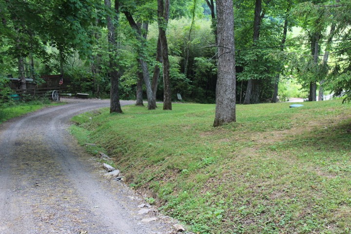 5534 Hickory Ridge Road Lebanon, TN 37090 - Photo 13 of 50 a backyard of a house with lots of green space