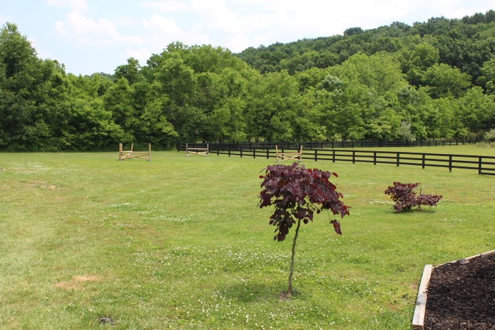 5534 Hickory Ridge Road Lebanon, TN 37090 - Photo 9 of 50 a view of a garden